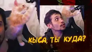 КЫЦА И МИКРОФОН
