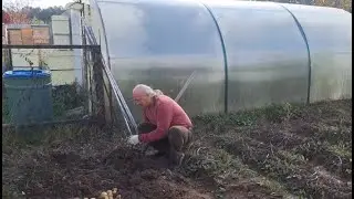 Сбор урожая картошки