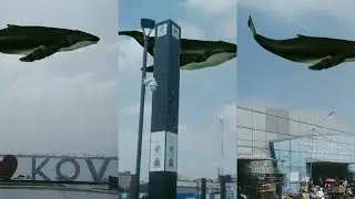 kovai / alien's/vfx/graphics/green screen fish alien/UFO/Alien flying/animation/ fish alien/covai