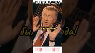 Жириновский Уничтожает Немцова! Жириновский жжёт на интервью!  