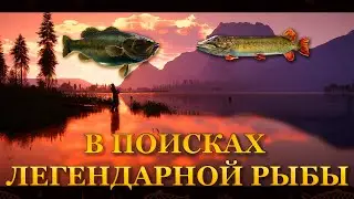 💙💛 Call of the Wild: The Angler. В поисках легендарной рыбы 02-06-2024 💛💙