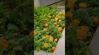 Расцветай вместе с политехом 🌻
