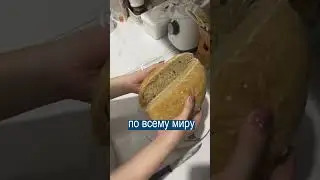 Хлеб Выжимается Как Губка