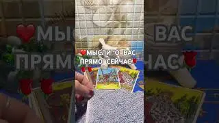 3 июля 2024 г.