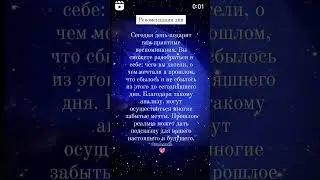 #предсказание