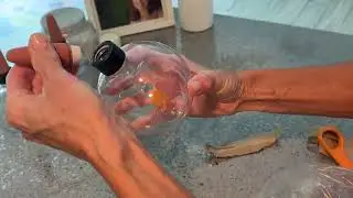 Unboxing Watering Globes