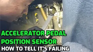 Symptoms of a Bad Accelerator Pedal Position Sensor (Learn how it works and why it fails)