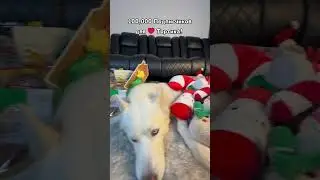 День 46-й🤘Чёрная Пятница😃100,000 для❤️Тортика