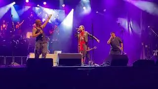 Haydamaky at the Montreal Ukrainian Festival, 07.09.2024