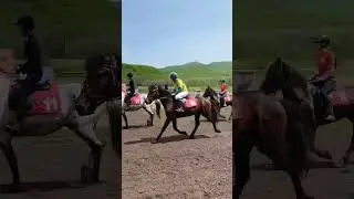 Скачки состоялись!