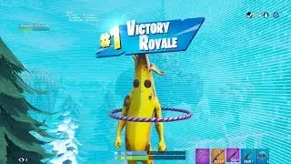 FORTNITE First Win with 