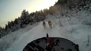 Кен и Вика. Тренировка