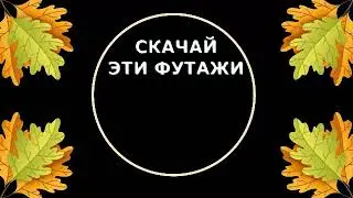 Осенние Цветы Листочки на черном фоне для видеомонтажа скачать FREE