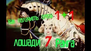 BlackDesert(БДО) Скрещивание и разведение лошадей/ Прокачка лошадей 2018