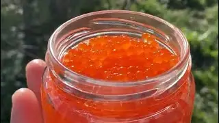 Засолил икру форели на Новый год!