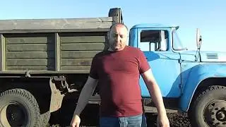 СЕЕМ ГРЕЧКУ - сорт "СВЕТЛАНА".