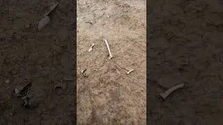 Выкинули жмура из кургана