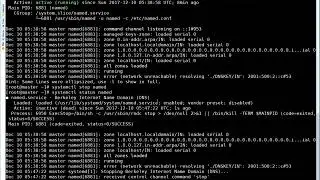 Configure BIND to accept DNS requests