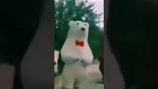 Когда я и мой друг дураки 