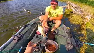 Ловля карася на пруду с лодки. Пробный выезд