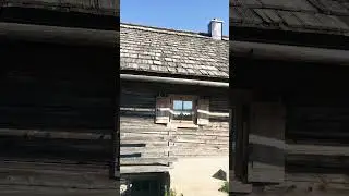 Приехал в Альпы собирать чернику на высоте 2200 метров . Наша Каринтия !