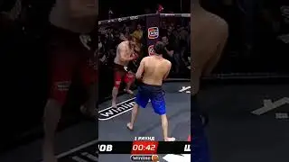 Игорь Швед 🆚 Шамистан Иманов 👊Заруба в клетке👊