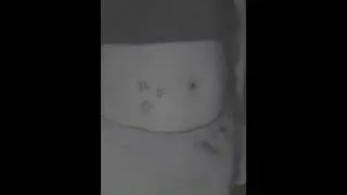 Upset belly growling asmr / stomach growling