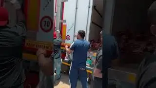 Отчет !!!
