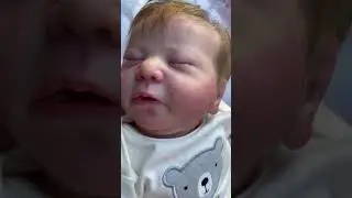 #реборн