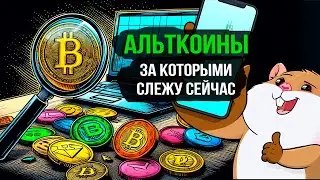 Какие альты купить сейчас? Bitcoin пойдет вверх? Обзор рынка