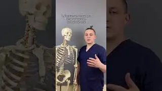 О болях в копчике рассказал Денис Громов – преподаватель Школы мастеров массажа в Санкт-Петербурге.