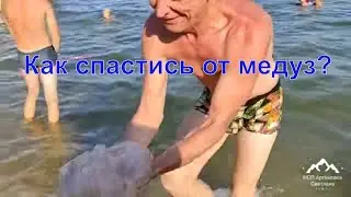 Азовское море , как спастись от медуз ? Что делать когда медузы жалят ?