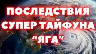 Тайфун 