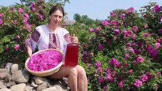 The Woman lives in the village!🌺Harvesting roses and turning the petals into drink and jam