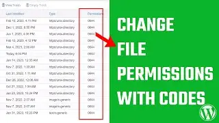 Change WordPress file permissions with Custom codes 