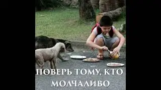 Мудрые слова о том, кому можно доверять в этой жизни