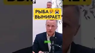 Ужасная правда про океаны и моря((