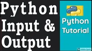 how to input and output in python _ Basic Input and Output