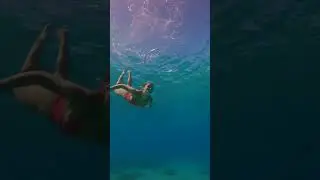 no fins no mask no problem 