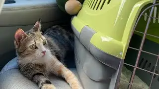 Наше путешествие в ЛАТВИЮ !!!
