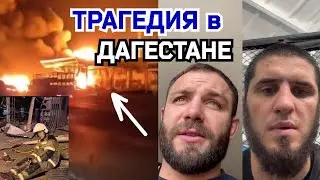 РЕАКЦИЯ БОЙЦОВ ММА на ТРАГЕДИЮ в ДАГЕСТАНЕ! АЗС!
