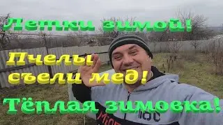 Зимовка ПЧЕЛЫ СЪЕДАЮТ МЁД в декабре! Зимние летки ульев! Моя Солнечная воскотопка ответы на вопросы!