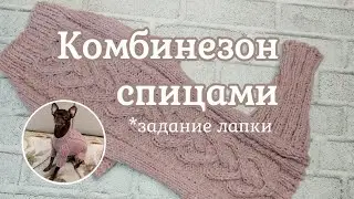 Комбинезон для собаки, вязание спицами