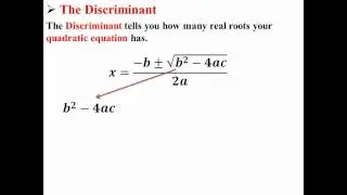 The Discriminant