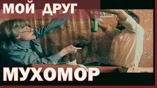 Мой друг Мухомор