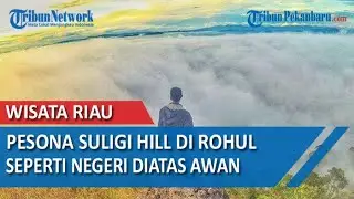 WISATA RIAU: Pesona Suligi Hill di Kabupaten Rokan Hulu, Seperti Negeri di Atas Awan