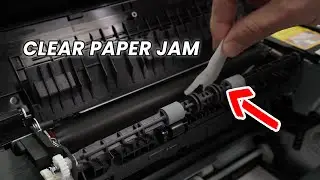 How to Clear a Paper Jam on Pantum P2500W & P2502W Printer