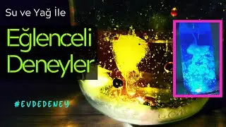 Evde Yağ ve Su İle 4 Deney I Evde Bilim Deneyleri - Home Science Experiments