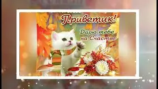 Осенний Приветик Желаю Счастья и Добра. Открытка.