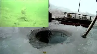 Открытие 2022 года, 3 января